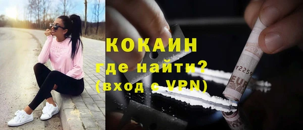 хмурый Белокуриха