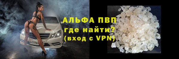 хмурый Белокуриха