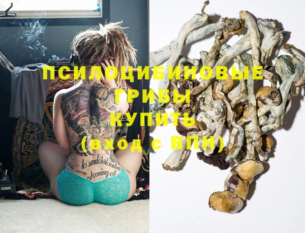 хмурый Белокуриха