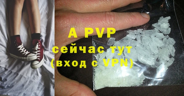 хмурый Белокуриха