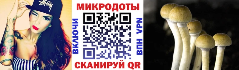 Псилоцибиновые грибы прущие грибы  Киселёвск 
